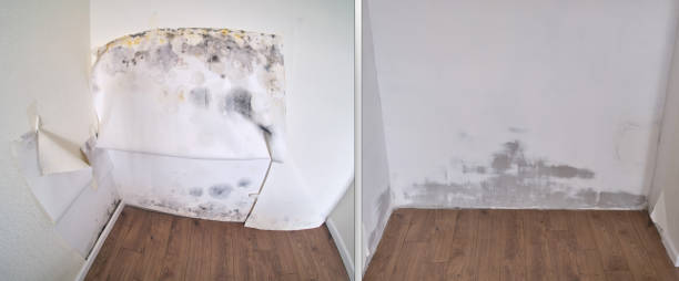 Madera Acres, CA Water damage restoration Pros